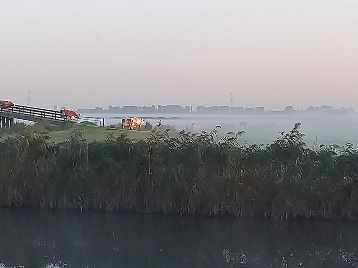 Huisje Aan Het Water, Omgeving Amsterdam Villa Zaandam Exteriör bild